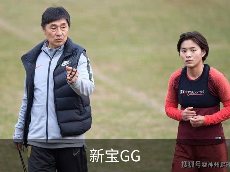 关于新宝GG